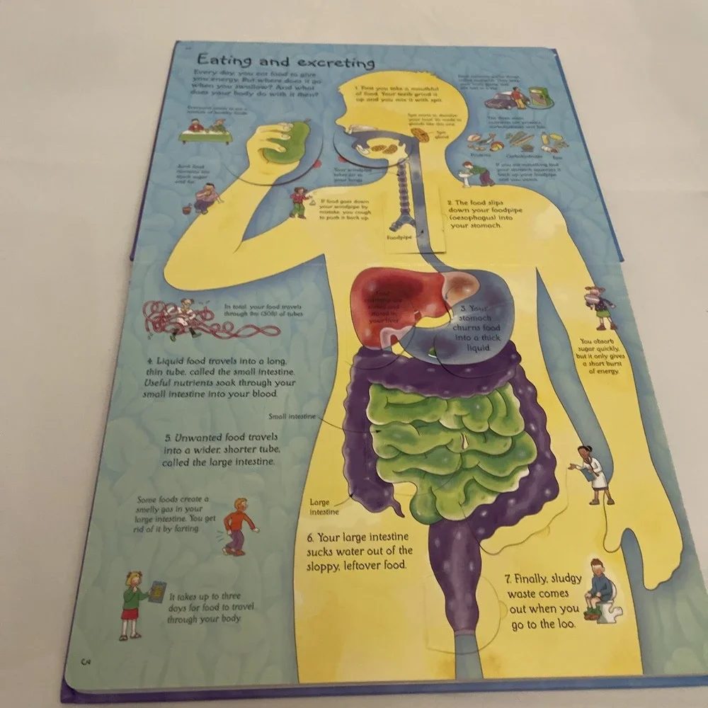 See Inside Your Body Large Board book With Educational‎ Information And Flaps